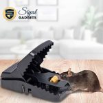 Mouse Trap - Image 2