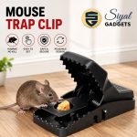 Mouse Trap