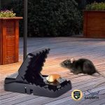Mouse Trap - Image 4